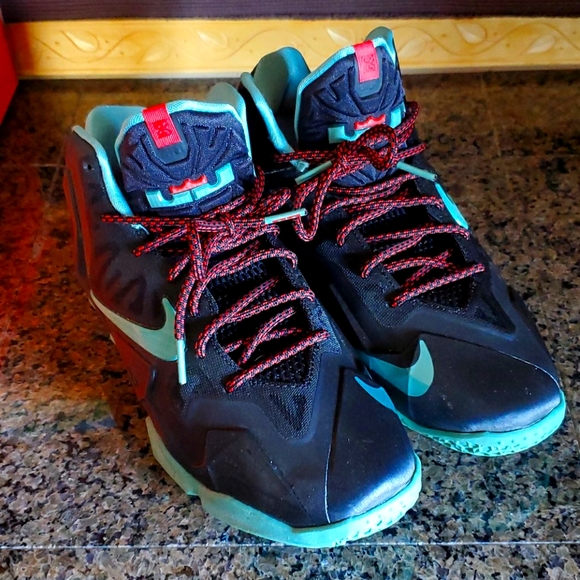 lebron james xi